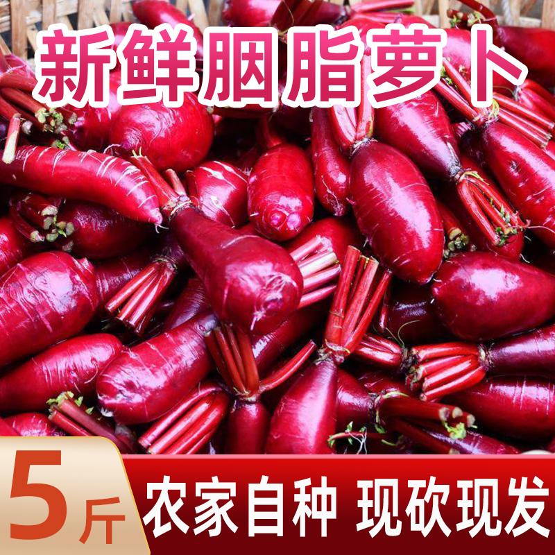 胭脂萝卜重庆涪陵特产泡菜专用