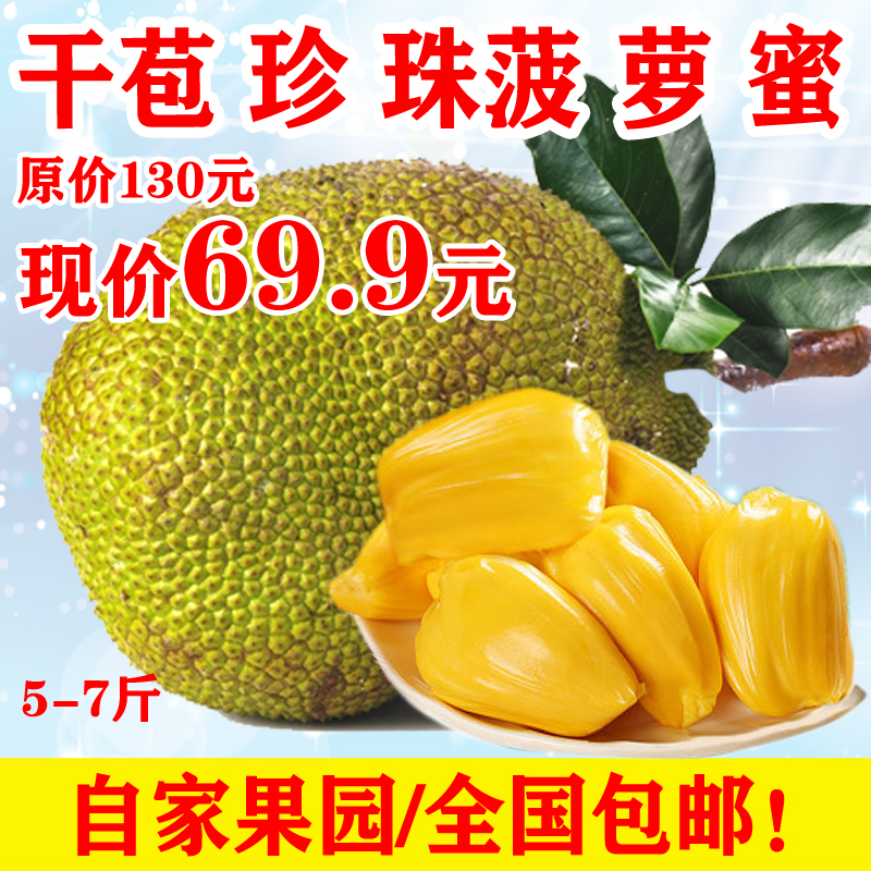 丰蜜源果园现摘新鲜干苞珍珠菠萝蜜非榴莲蜜热带水果618节包邮