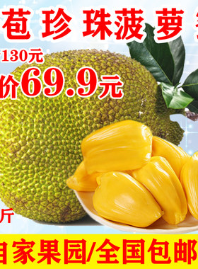 丰蜜源果园现摘新鲜干苞珍珠菠萝蜜非榴莲蜜热带水果618节包邮