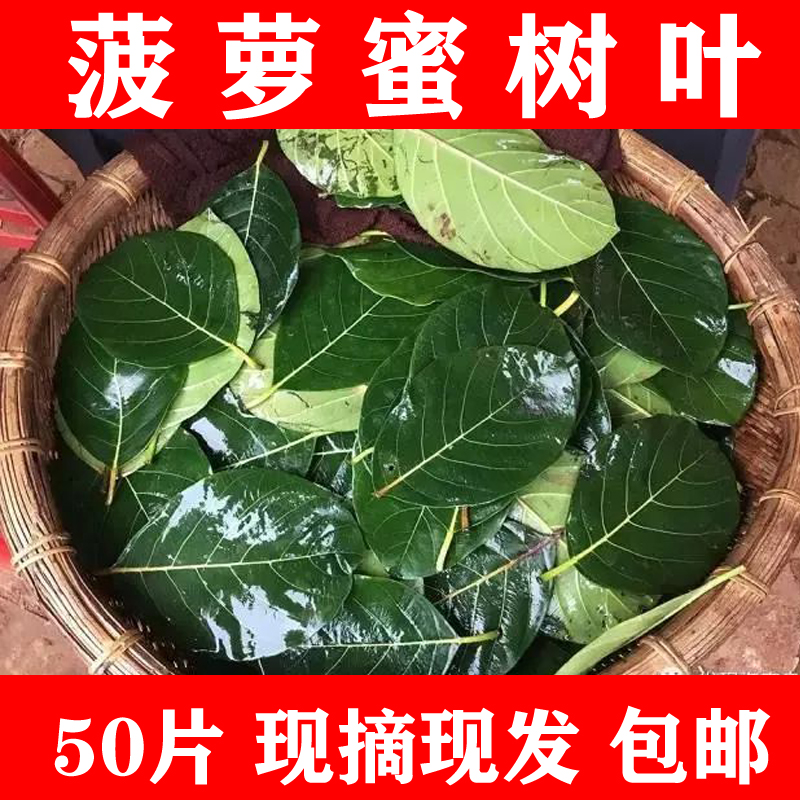 糍粑过节喜庆叶片艾饼年糕木菠萝