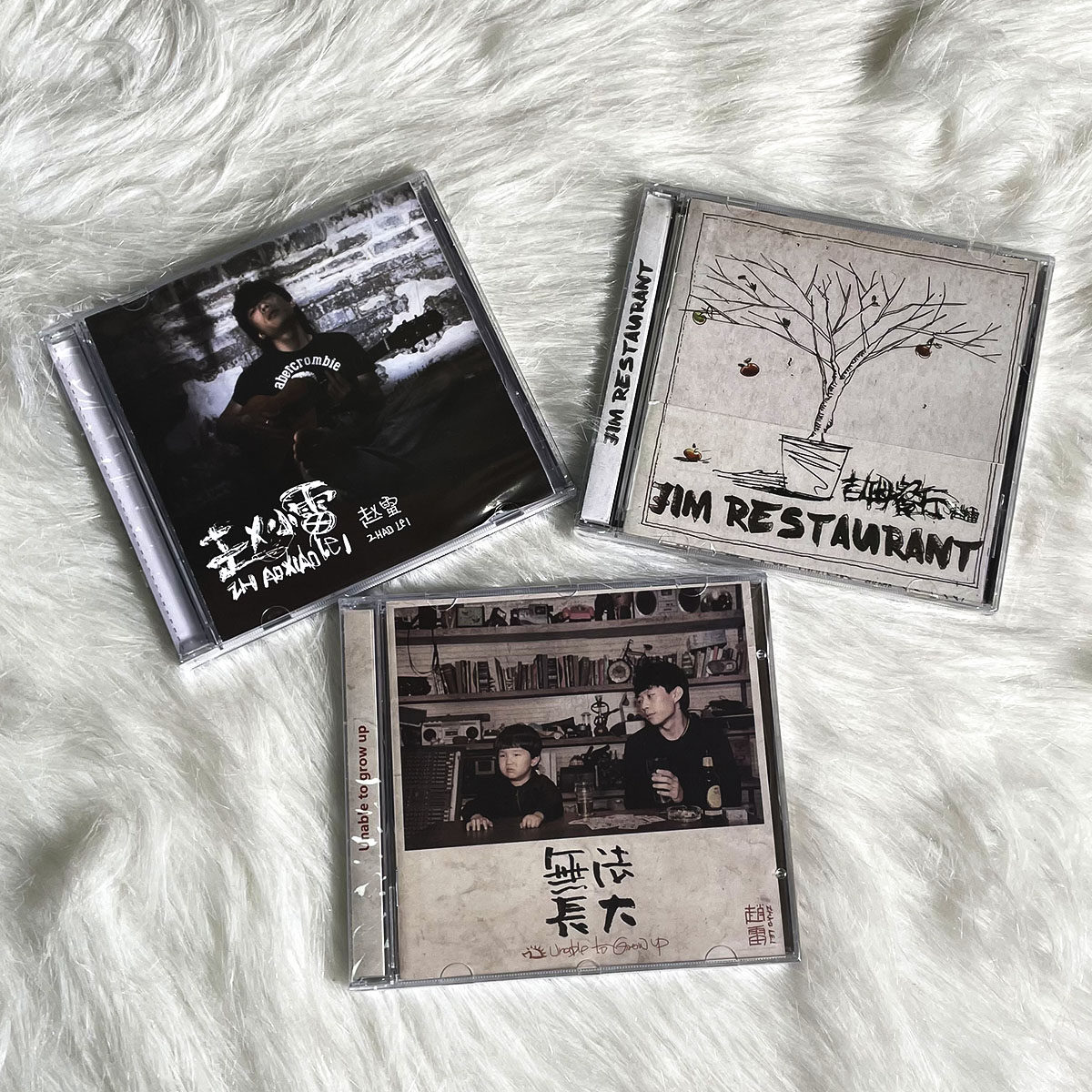 赵雷专辑 赵小雷 吉姆餐厅 无法长大 cd 歌词本 车载唱片周边正版