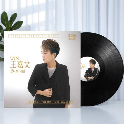 正版王嘉文 嘉音·盼 粤语发烧HiFi歌曲 12寸黑胶唱片LP 33转唱盘