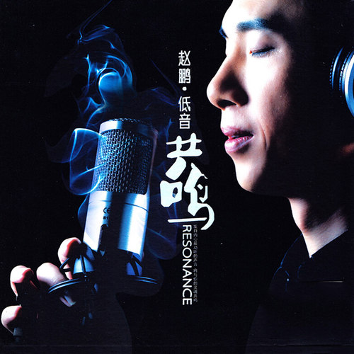 正版发烧CD碟 精炼名曲十三首