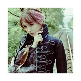 织部里沙LiSA专辑 歌词本 炎 摇滚日语唱片 HOMURA 正版