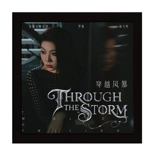 官方正版 罗维 古典音乐专辑 《穿越风暴》CD+写真+NFC周边