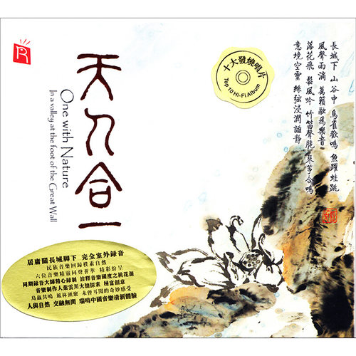 正版唱片