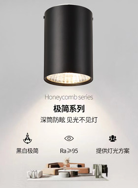 led射灯明装筒灯防眩目全光谱长筒吊线聚光射灯免开孔客厅吸顶灯