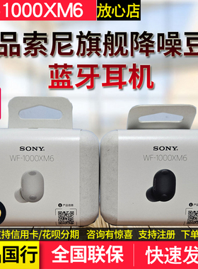 Sony/索尼WF-1000XM6双芯耳机降噪真无线手机音乐安卓苹果通用xm6