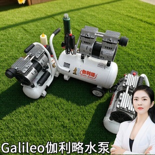 山东矿用深圳伽利略活塞式空气压缩机压机风四川无油气泵