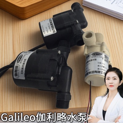 12vcpu的车载家用24v微量无刷小型电静音发动机循环气水泵高温泵