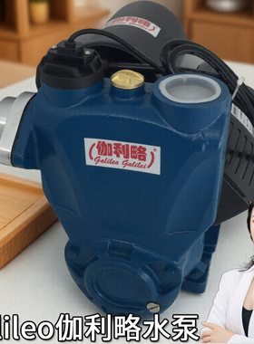 旋涡自吸电泵家用吸程20米的自吸泵小流量自吸自吸泵家用水泵
