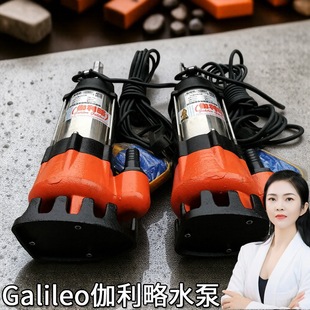 国内品牌家用水泵卧式小型潜水泵家用抽水泵两相电高扬程水泵