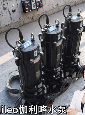 伽利略污水提升泵1000w潜水泵洗碗机排水泵av型潜水式排污泵