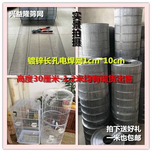 镀锌加粗焊接鸽舍鸟笼养殖网