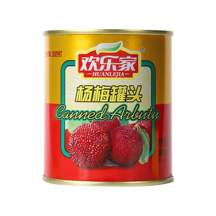 欢乐家 杨梅罐头318g*6罐 新鲜糖水杨梅果肉水果罐头餐饮商用批发