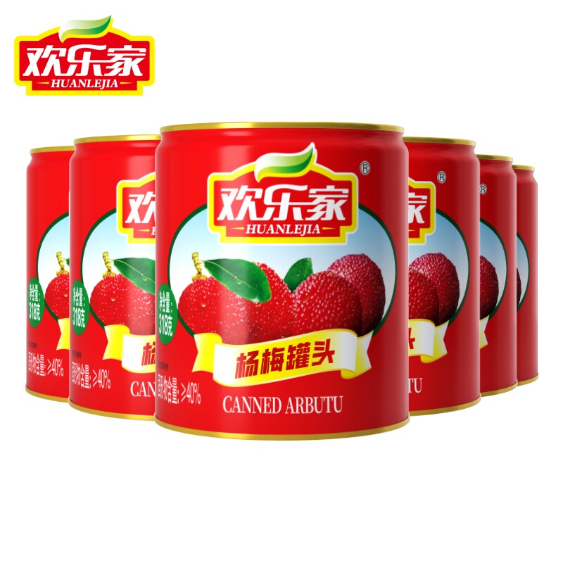 欢乐家 杨梅罐头318g*6罐 新鲜糖水杨梅果肉水果罐头餐饮商用批发