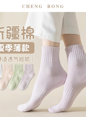 袜子女夏季薄款透气棉袜运动防臭短袜夏天纯色低帮紫色短筒春秋款