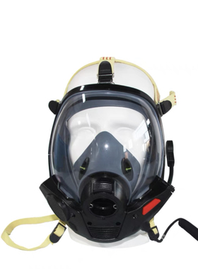 正压式空气呼吸器面罩配件球形全面罩大视野过滤式防毒全面具