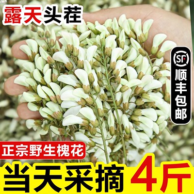 【顺丰包邮】2026现摘新鲜洋槐花