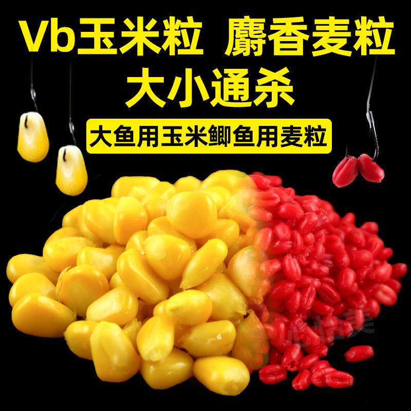 新鲜玉米罐头钓鱼专用聚鱼窝料