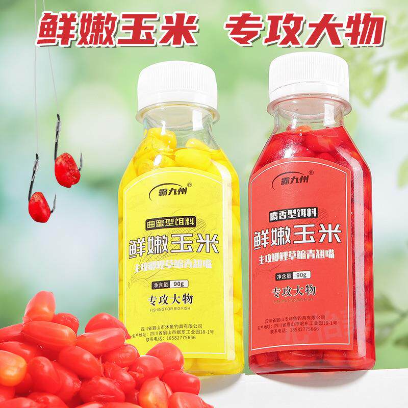 新鲜玉米钓鱼专用聚鱼窝料