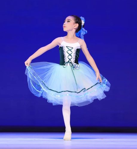 芭蕾舞演出服吉赛尔儿童比赛专业舞蹈服蓬蓬裙成人纱裙芭蕾表演服