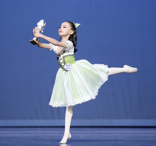 克拉拉变奏演出服胡桃夹子天鹅湖独奏葛蓓莉亚吉赛尔蓬蓬裙比赛服