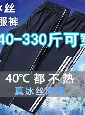 校服裤子夏季薄款冰丝速干中小学生一二三条道杠加肥加大校裤定制