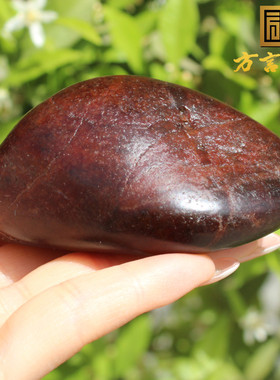 方言和田玉特色新疆老熟红沁籽料独籽原石象形龟壳摆件手把件A5