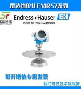 FMP57-278J9/0导波雷达料位计FMP57-FBACCDLCA4AFJAAEHJDZ1