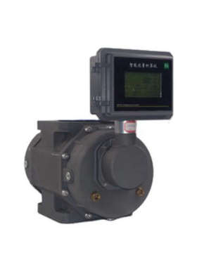 hankwell RTO用 智能气体罗茨腰轮 流量计 HK80-G160