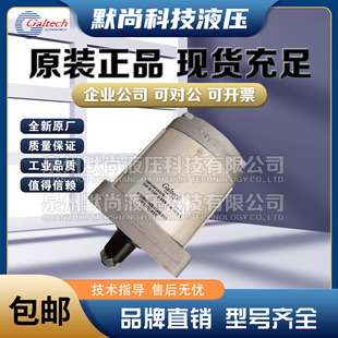 意大利高泰克Galtech齿轮泵1SP-A-025-D-EUR 2SP-A-140-D液压油泵
