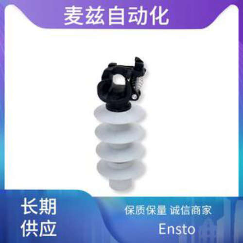 熔断器与分支箱 KE52.2 Ensto SCADA RTU机柜 KS3.63T