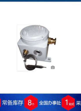 波兰selfa温控器A