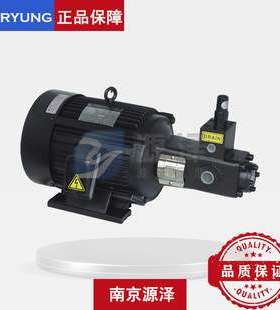 韩国亚隆AMTP-3000-216CHVD-30齿轮泵 高压冷却泵30kg 切削液泵