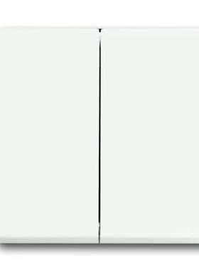 ABB 2CKA001751A3024 ABB 白色2帮派灯开关盖