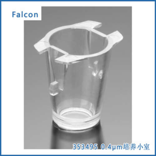 Falcon? 细胞培养小室 于24板 0.4 μm半透明高密度PET膜