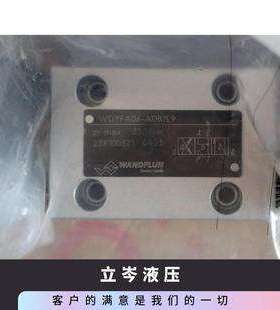 瑞士Wandfluh万福乐防爆阀 AEXd4Z60a-G24