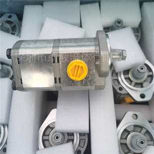 压缩箱齿轮泵PLP20.11 2-82S1-LGE/GD/20.9 666000R3