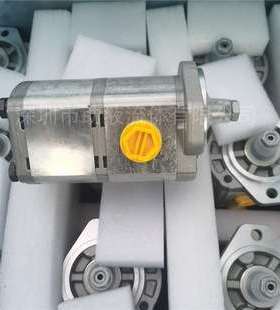 压缩箱齿轮泵PLP20.11 2-82S1-LGE/GD/20.9 666000R3