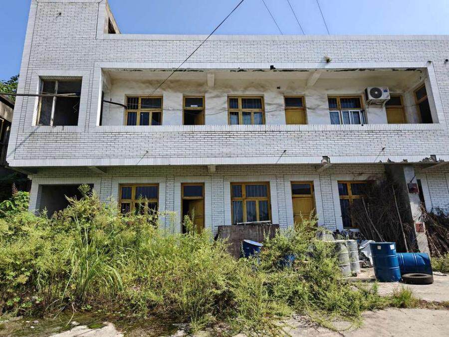 2月20日乐山化工公司资产网络拍卖公告