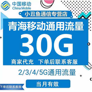 青海移动手机流量充值30GB全国通用当月有效国内流量加油包叠加包