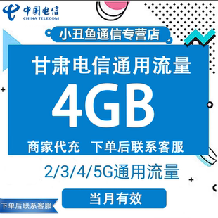 甘肃电信流量充值4GB当月有效国内流量月末应急包支持4G5G网络