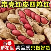 东北带壳红皮花生农家新货新鲜生 四粒红花生米农家自种颗颗精选