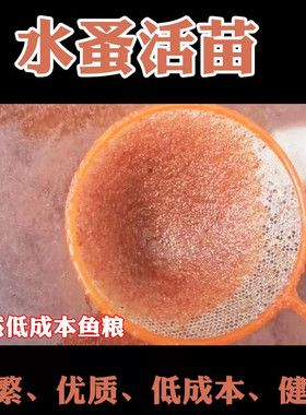 水蚤活体活苗鱼虫红虫水虱子水瘙鱼食卵饲料兰寿鱼苗幼苗开口活食