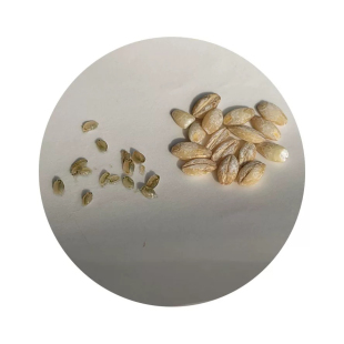 鱼虫水蚤活食草履虫高蛋白观赏鱼鱼食不坏水活体丰年虾大红卵幼虫