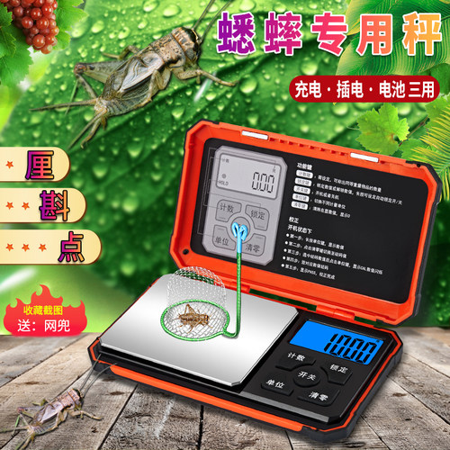 帝衡蟋蟀专用电子秤蛐蛐秤天津厘