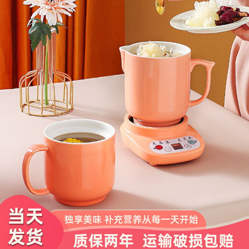 宿舍养生壶全自动家用电炖壶