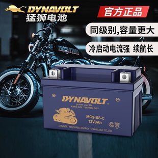猛狮摩托车电瓶 gw250黄龙600 xjr400 cbr600 zr-7蓄电池YTX9-BS