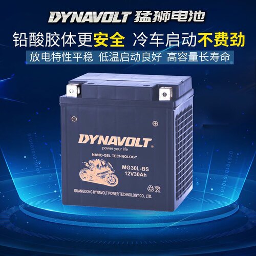 摩托车电瓶庞巴迪Sea-Doo喜度西度 摩托艇RXP-260 RXT-X260蓄电池